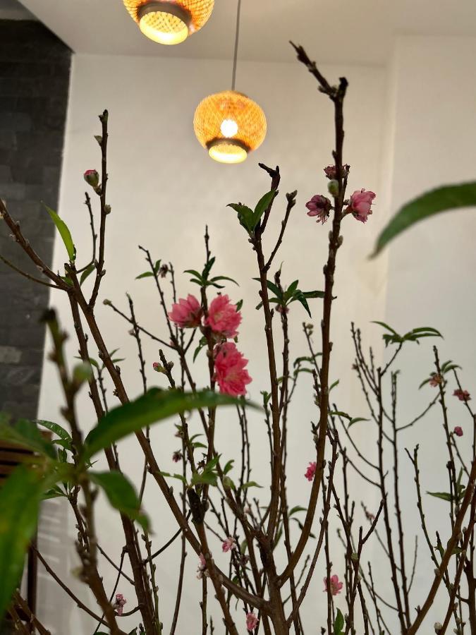 Vang Anh Homestay Hội An Kültér fotó